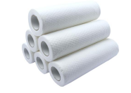 Non-woven Cleaning