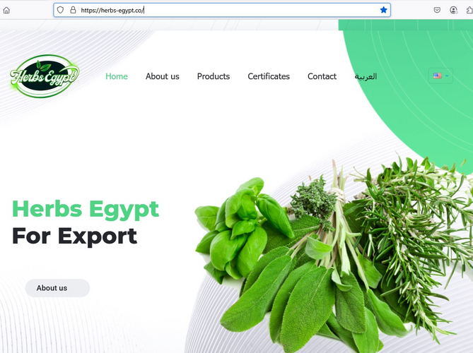 Herbs Egypt for Export Herbs Egypt for Export