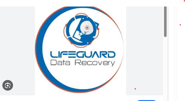 Life guard data recovery Life guard data recovery