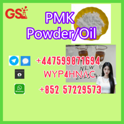 Stable New PMK Powder/Oil Source – CAS 28578-16-7, Ideal for Long-Term Partners from GS INTERNATIONAL TRADE CO.,LTD