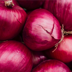 Premium Fresh Red Onions – Export Quality, Grade ...