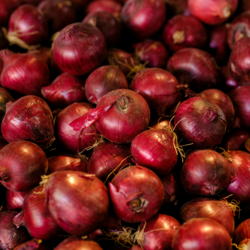 Premium Fresh Red Onions – Export Quality, Grade A, Farm Direct from Maharashtra | Almoraz Greens (Net Weight: 5 KG / 10 KG / 25 KG)