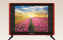 P17A-LCD monitor