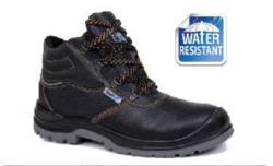 Safety Shoe / Boot (SIZE: 38 TO 47) from SKANDA INTERNATIONAL FZ LLE