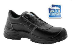 Safety Shoe / Boot ( Sizes: 38 to 46) from SKANDA INTERNATIONAL FZ LLE