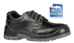 Safety Shoe / Boot ( Sizes: 38 to 47) from SKANDA INTERNATIONAL FZ LLE