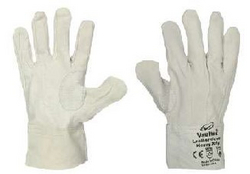 Short Driving Gloves from SKANDA INTERNATIONAL FZ LLE