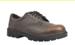 Safety Shoe / Boot ( Sizes: 38 to 46)