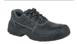 Safety Shoe / Boot ( Sizes: 38 to 46)