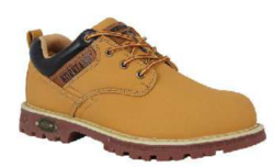 Safety Shoe / Boot ( Sizes: 38 to 47)