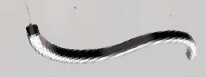 Su Yolu Linear(F-2902)