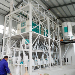 200TPD Maize Flour Processing Line