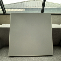 Aluminum Clip-in Ceiling