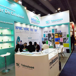 Customizable HEC Solution for Water-Based Coatings – Low Viscosity & Free Samples
