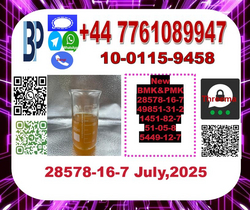  28578-16-7 bmk pmk glycidic acid esters  13605-48-6 1314093-06-5 from BIG HEALTH CHEMICAL TECHNOLOGY CO., LTD.