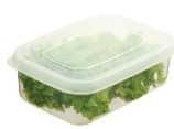 Hokkaido rectangular food storage container box 1000ml