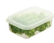 Hokkaido Food Storage Container Box 