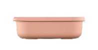 Hokkaido Food Container Box 2000ml: