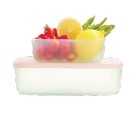 Set of 2 Hokkaido Freezer Container 2500 - 3600ml