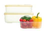 Set of 3 Hokkaido freezer container 