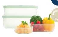 Set of 4 Hokkaido freezer container