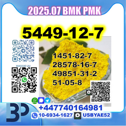 B.M.K 5449 Glycidic acid