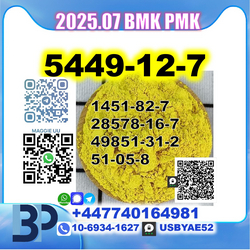 B.M.K 5449 Glycidic acid