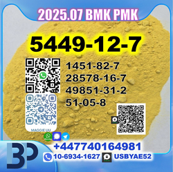 B.M.K 5449 Glycidic acid