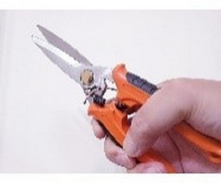 Heavy Duty Scissors