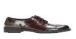 TATA ITALIA Women's shoes from SKANDA INTERNATIONAL FZ LLE
