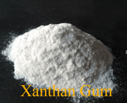 Xanthan Gum