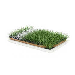 ARTIFICIAL GRASS