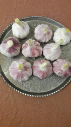 FRUITS