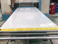 Cold room panel PPGI