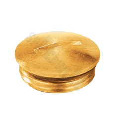 Speedwell BRASS STOPPING PLUG from ADEX INTL