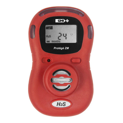 Single gas detector ZM