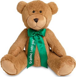 Let's Make Memories Personalized Giant Teddy Bear - Plush Stuffed Animal for Her Him Kids 6+ - 27" Tall - Valentines Day Birthday Graduation Baby - Custom Text Message Names - Green Satin Ribbon from SKANDA INTERNATIONAL FZ LLE