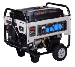 EAGLE EG13000 Portable Generator