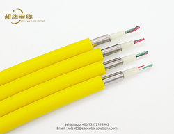 TEC Cable/Tubing Encapsulated Cable
