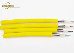 TEC Cable/Tubing Encapsulated Cable
