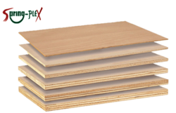 SPRINGPLEX  COMMERCIAL PLYWOOD SUPPLIER IN ABUDHABI,UAE