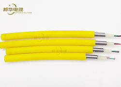 TEC Cable/Tubing Encapsulated Cable