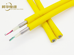 TEC Cable/Tubing Encapsulated Cable