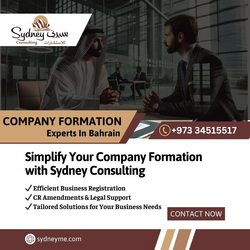 BUSINESS CONSULTANTS