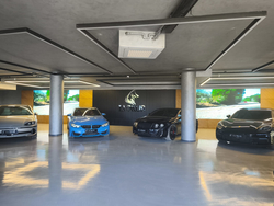 DISPLAY DESIGNERS AND PRODUCERS