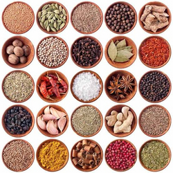 All types of Spices