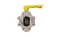 SS Butterfly Valve