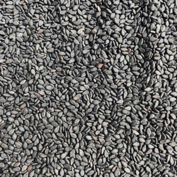 SESAME SEEDS from DREAMCELSIUS GROUP SOUTH AFRICA 