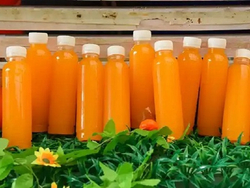 Plastic Injection Molding for Juice Bottles with Caps from GSUN PLASTIC CO., LTD