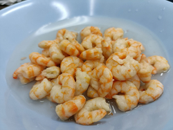 Canned Shrimp in Brine